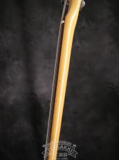 Fender 1977 PRECISION BASS Fretless_13
