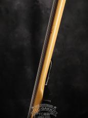 Fender 1977 PRECISION BASS Fretless_14