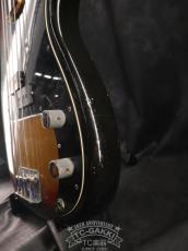 Fender 1977 PRECISION BASS Fretless_17