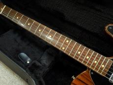 Fender Japan ALL Rose TL_4