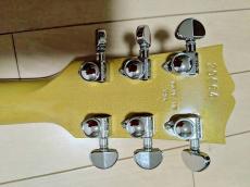 Gibson SG Standard custom color_4