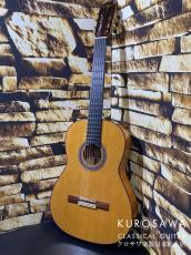 ESTEVE エステベ Model:GIPSY KINGS by André Reyes GOLD 【日本総本店2F 在庫品】