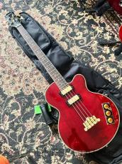 Epiphone Limited Edition C/S Allen Woody Rumblekat Bass_2