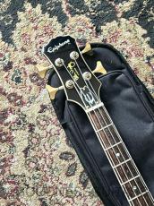 Epiphone Limited Edition C/S Allen Woody Rumblekat Bass_3