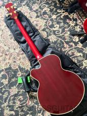 Epiphone Limited Edition C/S Allen Woody Rumblekat Bass_5
