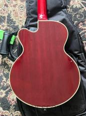 Epiphone Limited Edition C/S Allen Woody Rumblekat Bass_6