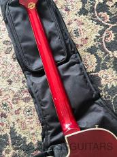 Epiphone Limited Edition C/S Allen Woody Rumblekat Bass_7