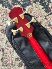 Epiphone Limited Edition C/S Allen Woody Rumblekat Bass_8