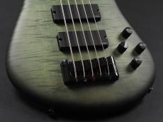 Spector EURO 5 LX Neck-Thru ~Haunted Moss~_6