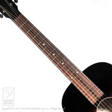 WATERLOO WL-12_5