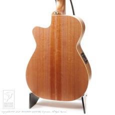 Maton Joe Robinson Signature_3