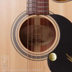 Maton Joe Robinson Signature_11