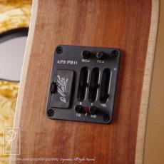 Maton Joe Robinson Signature_12