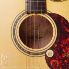 Maton EBG808C TE (Tommy Emmanuel Signature)_12