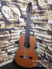 Juan Hernandez [ホアン・エルナンデス] BOSSANOVA 7 Strings 7弦 杉・ローズウッド・20フレット【日本総本店2F 在庫品】_2