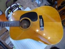 GIBSUN W-250 ZENON