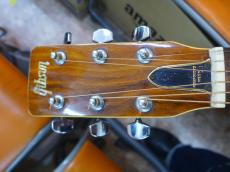 GIBSUN W-250 ZENON_2
