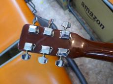 GIBSUN W-250 ZENON_4