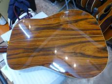 GIBSUN W-250 ZENON_5