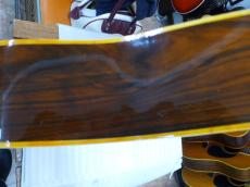 GIBSUN W-250 ZENON_6