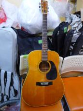 GIBSUN W-250 ZENON_7