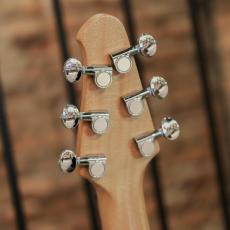 Powers Electric A-Type / PF42 / Camtail / Mint Green_10