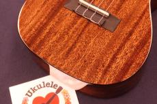 UMA UK-20 SC Gloss Black Mahogany Slot-head Concert Ukulele #5651_7