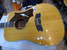 MOUNTAIN W-250 N