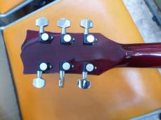 MOUNTAIN W-250 N_5