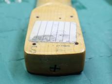 Fender MUSTANG NT _10