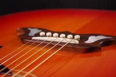 Gibson DOVE original _6