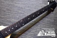 SCHECTER PS-FV-FXD/VWH/R【サウンドメッセ2023限定モデル!】_2