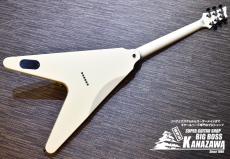 SCHECTER PS-FV-FXD/VWH/R【サウンドメッセ2023限定モデル!】_6