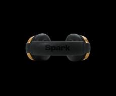 Positive Grid Spark Neo_4