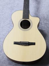 Taylor 【待望の入荷 / 新商品!】112ce-N