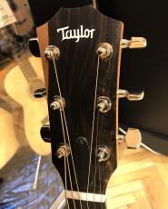 Taylor 214ce Plus_3
