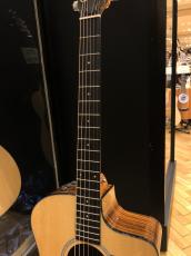 Taylor 214ce Plus_4