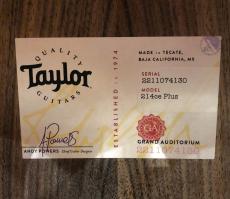 Taylor 214ce Plus_9