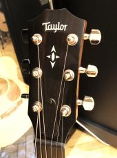 Taylor Builder's Edition 517e_3