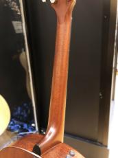 Taylor Builder's Edition 517e_7