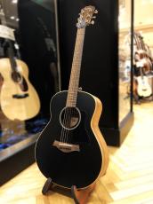 Taylor GTe Blacktop_2