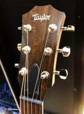 Taylor GTe Blacktop_3