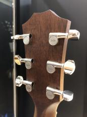 Taylor GTe Blacktop_7