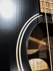 Taylor GTe Blacktop_11