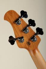 MUSIC MAN StingRay Special 4st Genius Gold_9