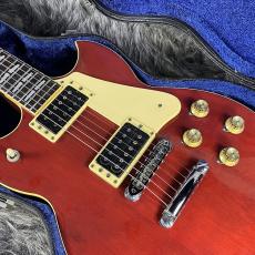 YAMAHA SG800 PR_5