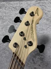 DINGWALL SP-1 5st - Dark Candy Green -【4.00kg】_7