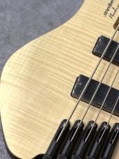 strandberg Borden Bass Standard 5 - Natural -【3.00kg】_4