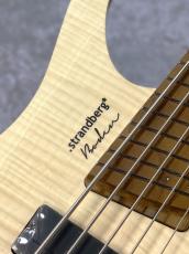 strandberg Borden Bass Standard 5 - Natural -【3.00kg】_5