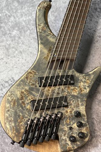 Ibanez EHB1506MS - Black Ice Flat -【3.29kg】【#I251203931】【良杢目個体】